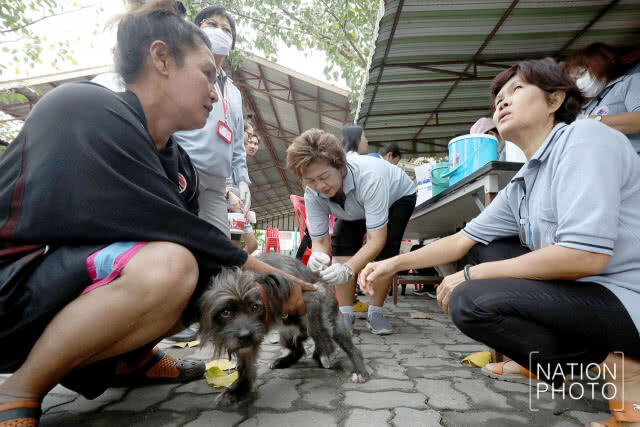 จนท.ลงพื้นที่ อ.บางพลี ฉีดยาวัคซีนกันพิษสุนัขบ้าให้กับชาวบ้าน(ภาพชุด)