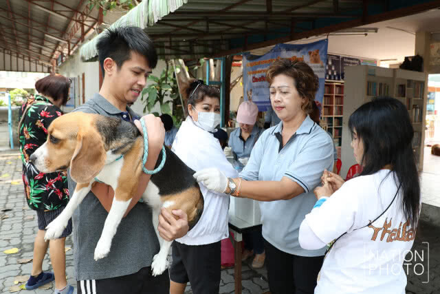 จนท.ลงพื้นที่ อ.บางพลี ฉีดยาวัคซีนกันพิษสุนัขบ้าให้กับชาวบ้าน(ภาพชุด)