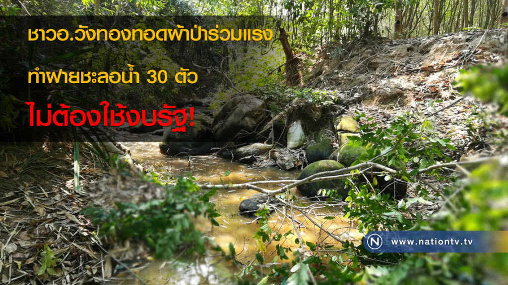 ชาวอ.วังทองทอดผ้าป่าร่วมแรงทำฝายชะลอน้ำ 30 ตัว ไม่ต้องใช้งบรัฐ!