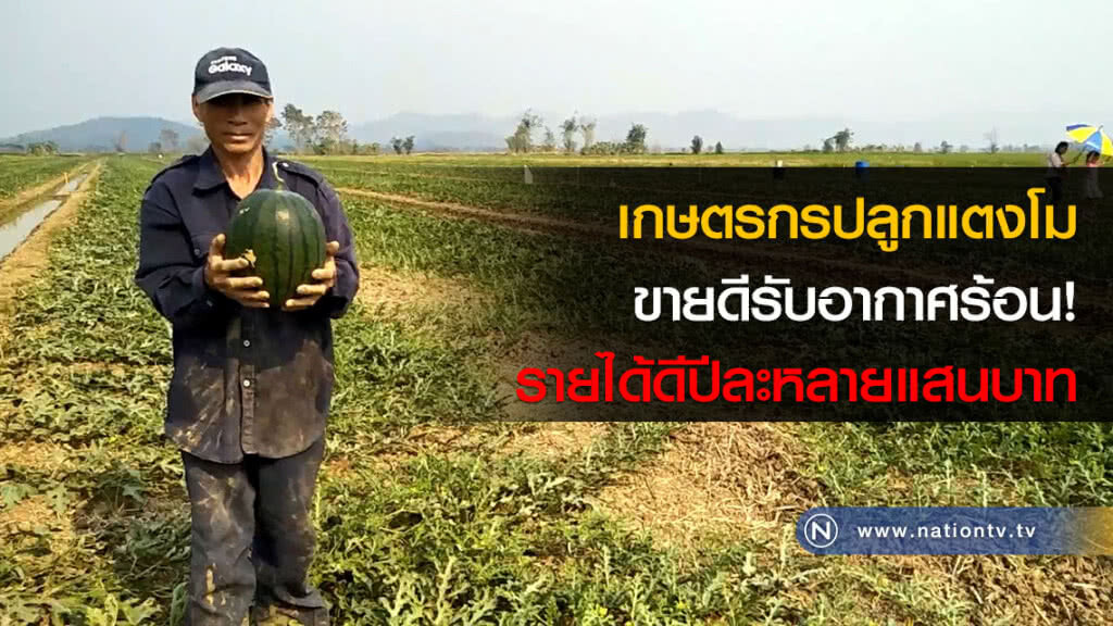 เกษตรกรปลูกแตงโม ขายดีรับอากาศร้อน! รายได้ดีปีละหลายแสนบาท เกษตรกรปลูกแตงโม ขายดีรับอากาศร้อน! รายได้ดีปีละหลายแสนบาท