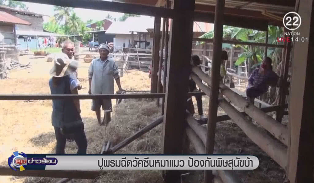 ปูพรมฉีดวัคซีนหมาแมว ป้องกันพิษสุนัขบ้า ปูพรมฉีดวัคซีนหมาแมว ป้องกันพิษสุนัขบ้า