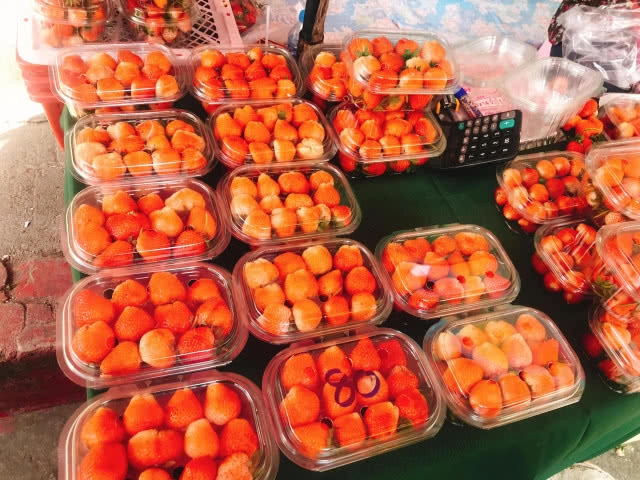 Chic-in : เปิดท่าเรือเพื่อการท่องเที่ยวแห่งแรกของภาคเหนือ อำเภอเชียงแสน จังหวัดเชียงราย