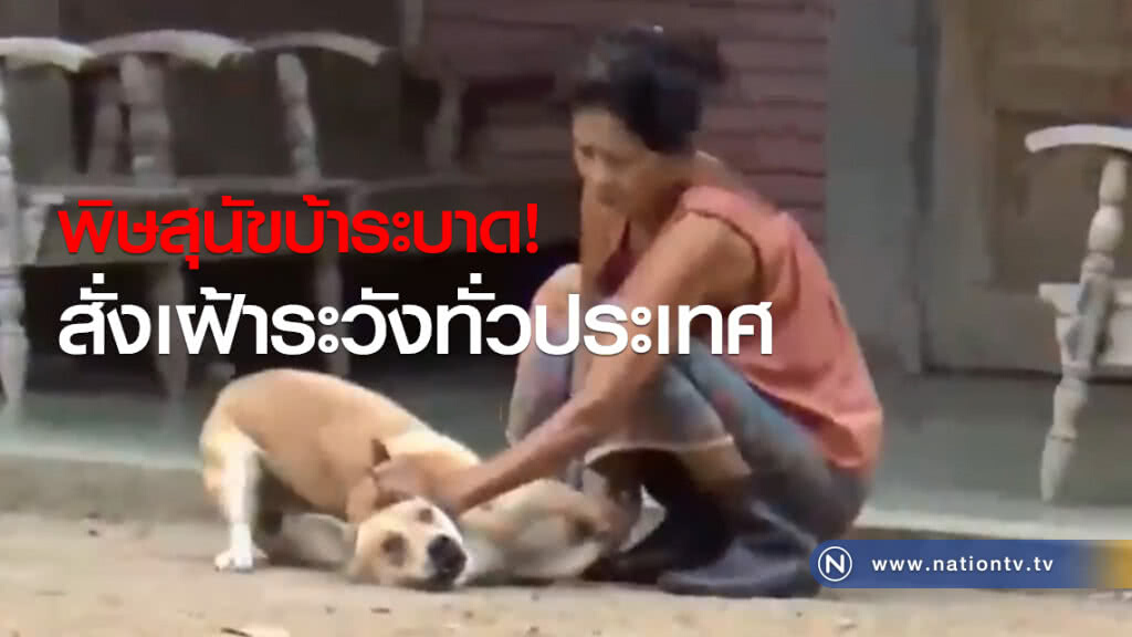 พิษสุนัขบ้าระบาด! สั่งเฝ้าระวังทั่วประเทศ