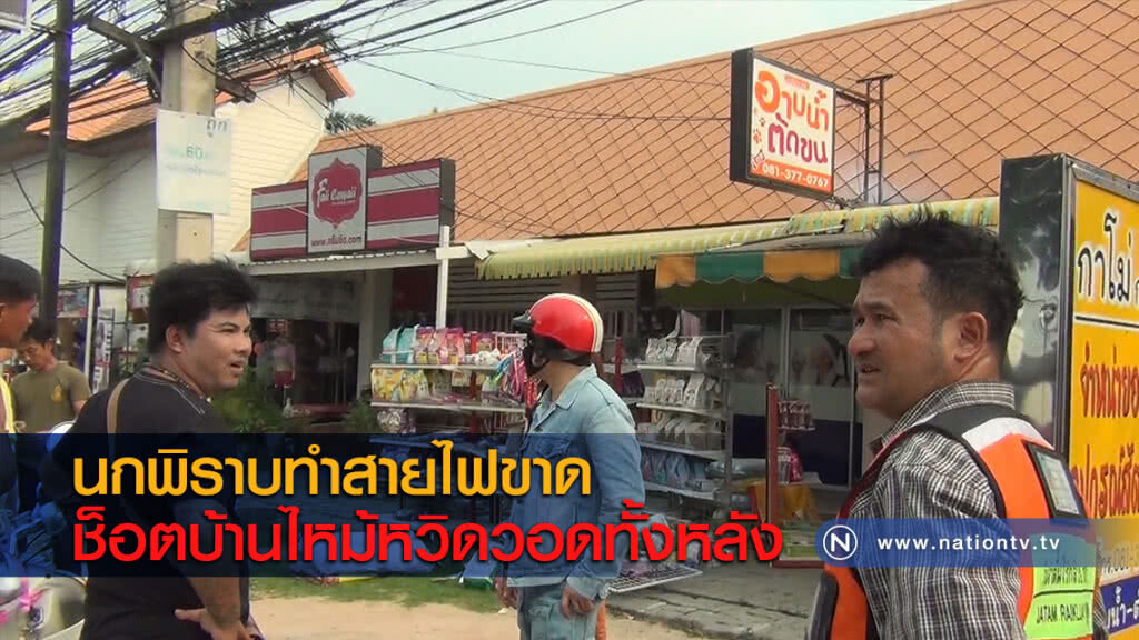 นกพิราบทำสายไฟขาดช็อตบ้านไหม้หวิดวอดทั้งหลัง นกพิราบทำสายไฟขาดช็อตบ้านไหม้หวิดวอดทั้งหลัง