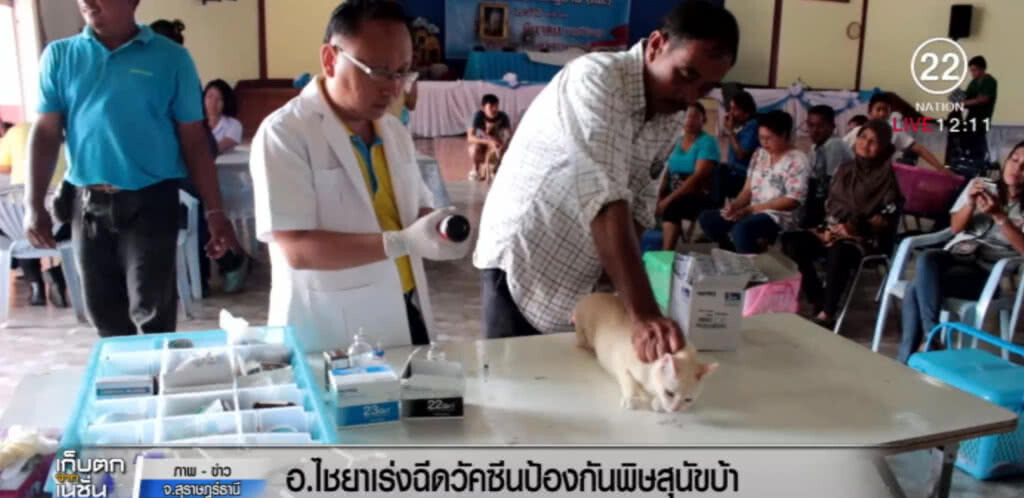อ.ไชยา เร่งฉีดวัคซีนป้องกัน หลังพิษสุนัขบ้าระบาด อ.ไชยา เร่งฉีดวัคซีนป้องกัน หลังพิษสุนัขบ้าระบาด