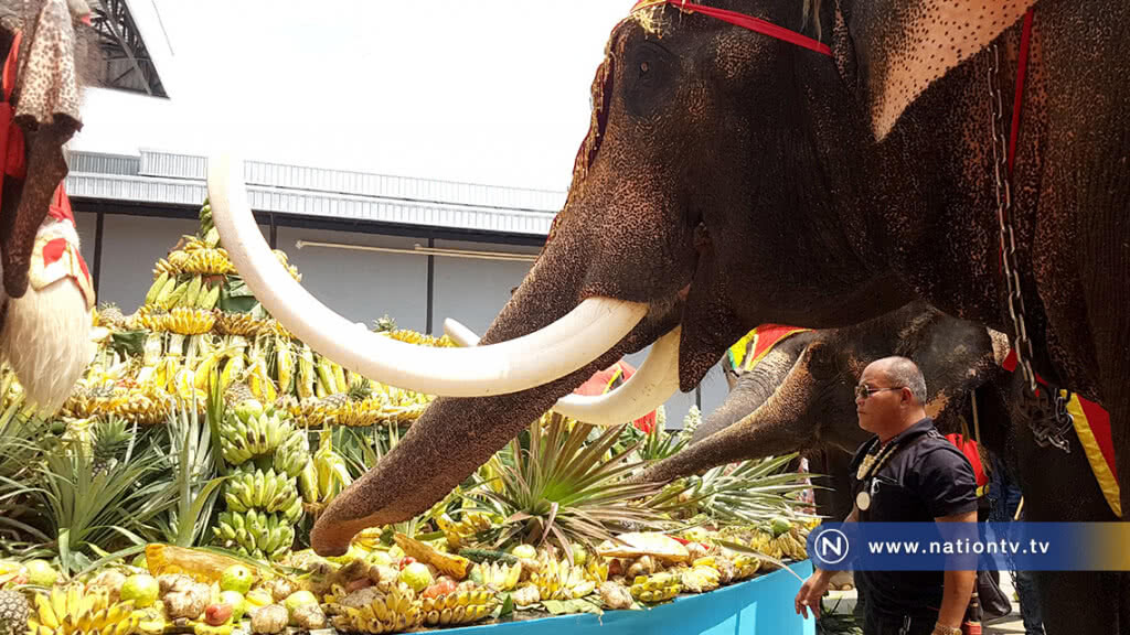 สวนนงนุชพัทยา จัดโต๊ะจีนผลไม่ใหญ่ที่สุดในโลก เฉลิมฉลองวันช้างไทย สวนนงนุชพัทยา จัดโต๊ะจีนผลไม่ใหญ่ที่สุดในโลก เฉลิมฉลองวันช้างไทย