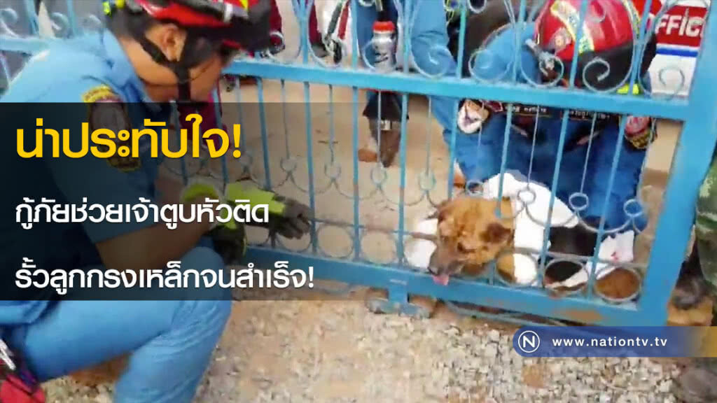 น่าประทับใจ! กู้ภัยช่วยเจ้าตูบหัวติดรั้วลูกกรงเหล็กจนสำเร็จ!(คลิป) น่าประทับใจ! กู้ภัยช่วยเจ้าตูบหัวติดรั้วลูกกรงเหล็กจนสำเร็จ!(คลิป)
