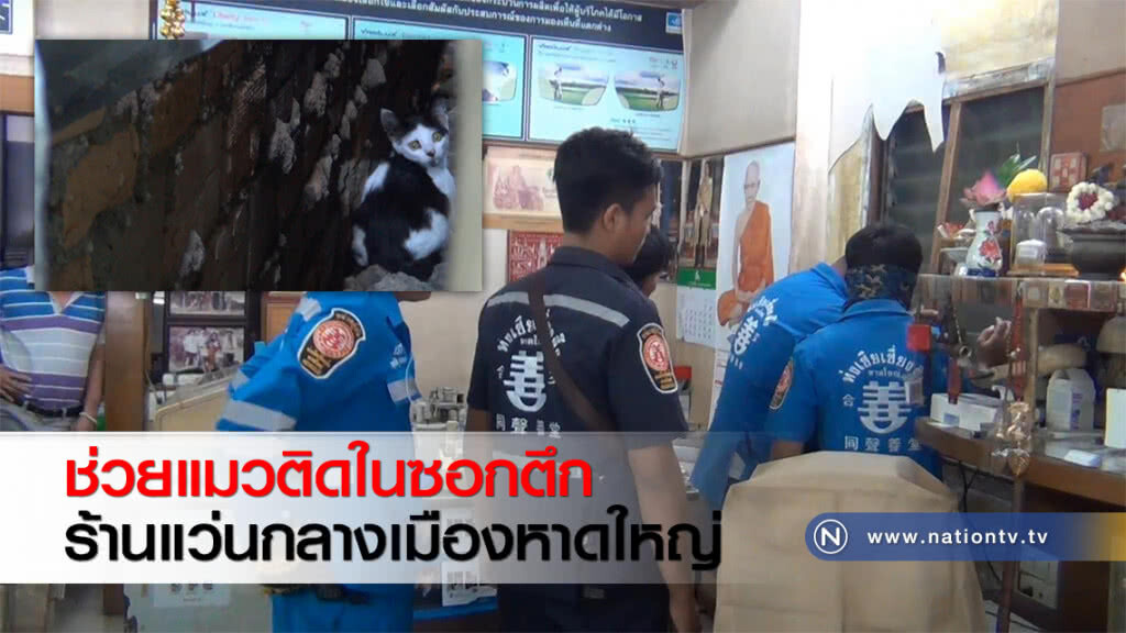 ช่วยแมวติดในซอกตึกร้านแว่นกลางเมืองหาดใหญ่
