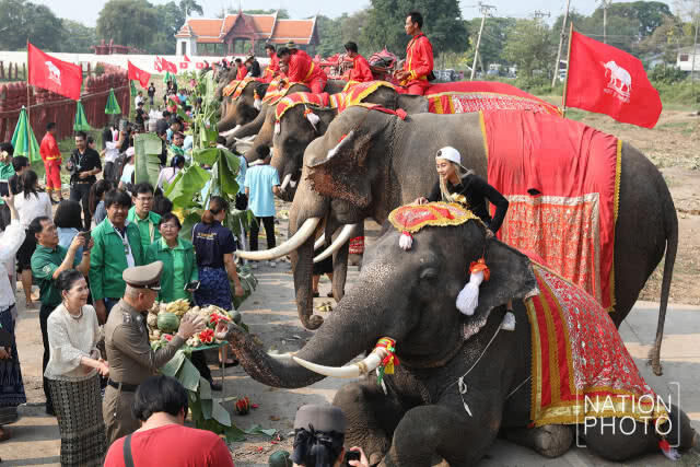 วังช้างอยุธยา แล เพนียด นำช้างจำนวน 70 เชือก ร่วมทำพิธีบังสุกุล กระดูก ให้ช้างที่ล้ม