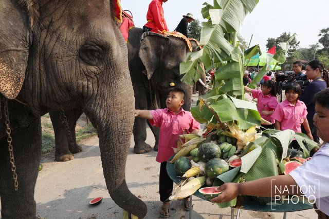 วังช้างอยุธยา แล เพนียด นำช้างจำนวน 70 เชือก ร่วมทำพิธีบังสุกุล กระดูก ให้ช้างที่ล้ม