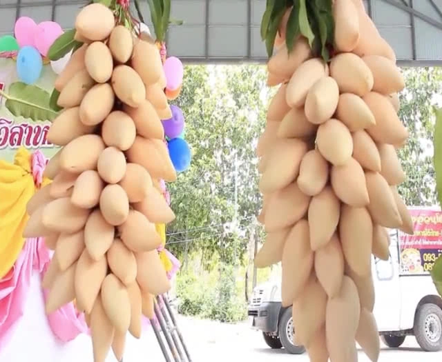 ไปโลด! มะม่วงบ้านแฮด กระแสต่างประเทศดีต่อเนื่อง เปิดโรงคัดเกรดส่งออก