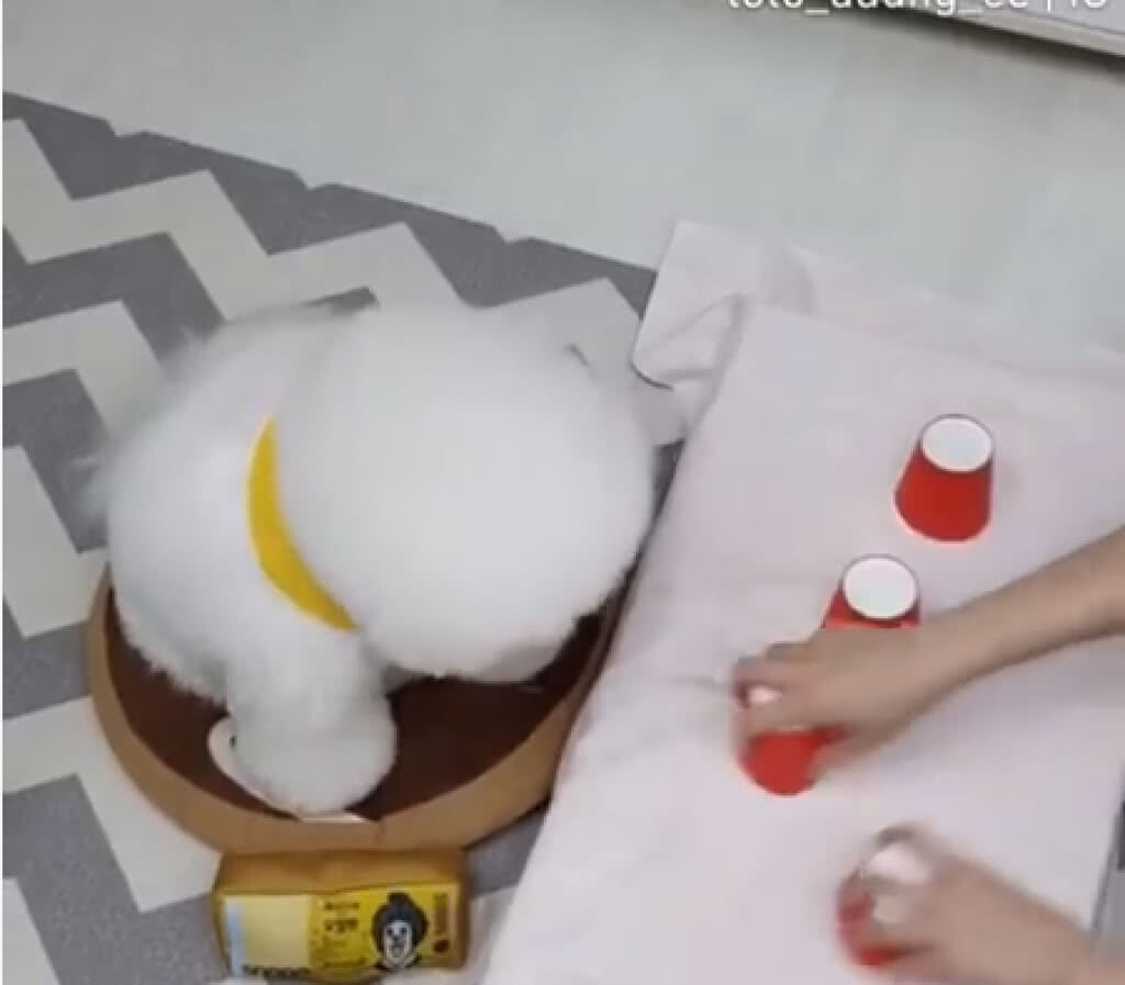 เรื่องกิน ไม่พลาด
