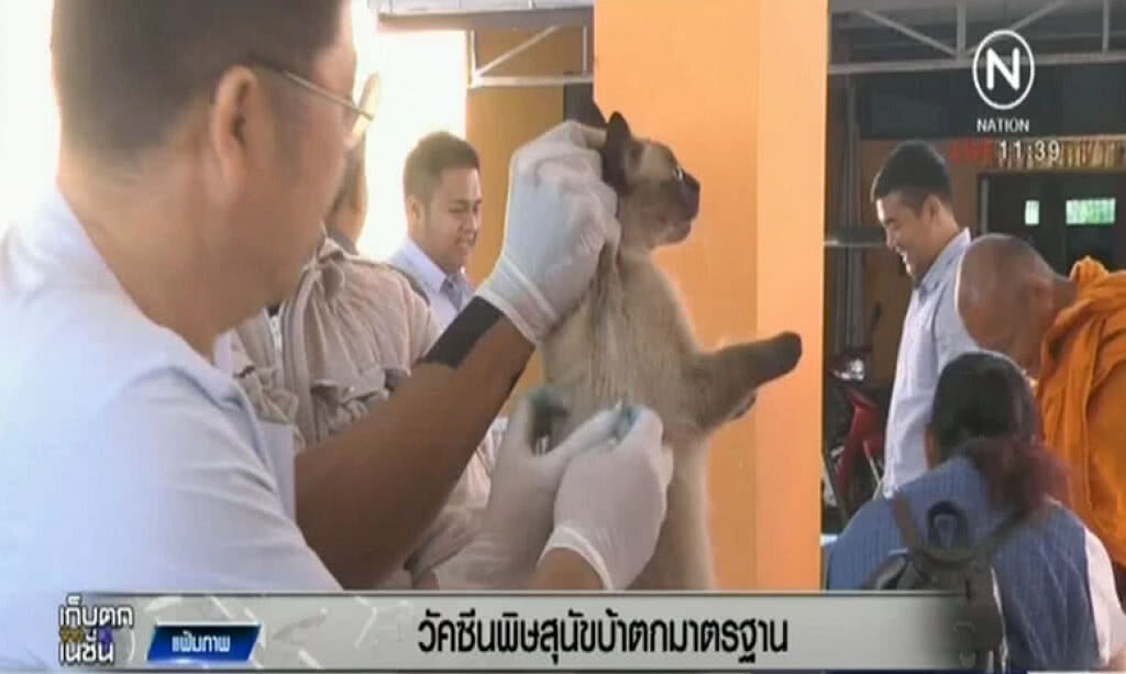 พบวัคซีนโรคพิษสุนัขบ้าต่ำกว่ามาตรฐาน พบวัคซีนโรคพิษสุนัขบ้าต่ำกว่ามาตรฐาน
