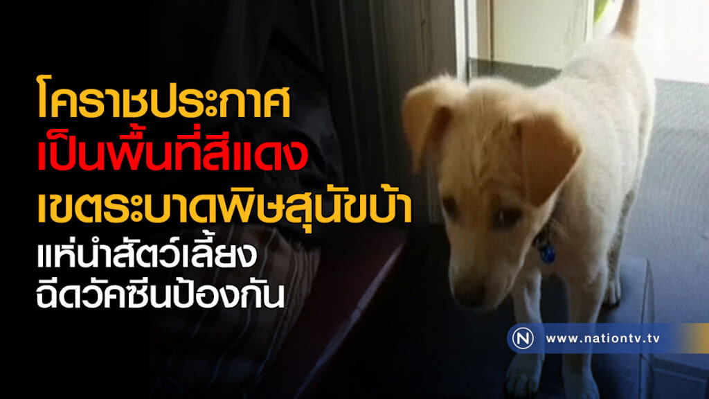 โคราชประกาศเป็นพื้นที่สีแดงเขตระบาดโรคพิษสุนัขบ้า