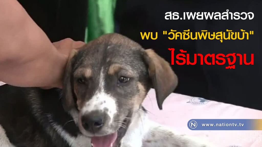 สธ.เผยผลสำรวจ พบ "วัคซีนพิษสุนัขบ้า" ไร้มาตรฐาน สธ.เผยผลสำรวจ พบ "วัคซีนพิษสุนัขบ้า" ไร้มาตรฐาน