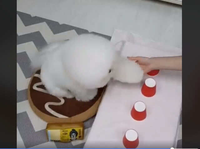 เรื่องกิน ไม่พลาด