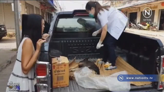 โคราชประกาศเป็นพื้นที่สีแดงเขตระบาดโรคพิษสุนัขบ้า