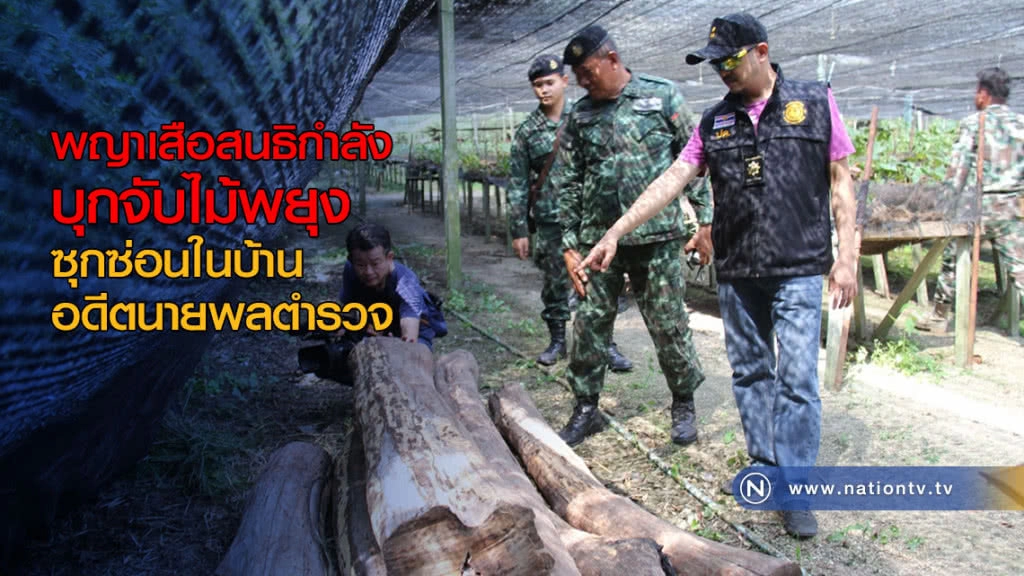 พญาเสือสนธิกำลัง บุกจับไม้พยุงซุกซ่อนในบ้านอดีตนายพลตำรวจ