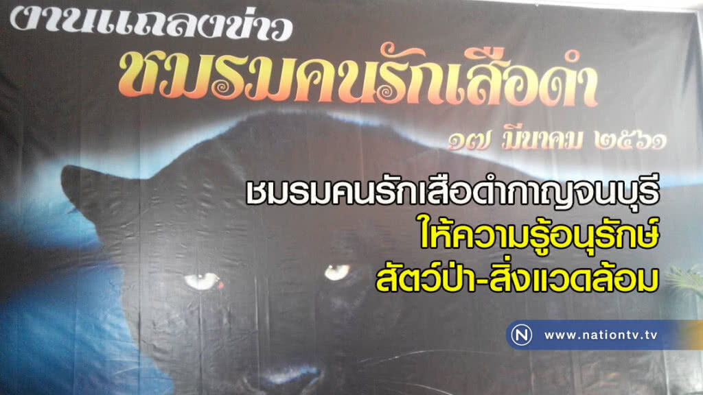 ชมรมคนรักเสือดำกาญจนบุรี ให้ความรู้อนุรักษ์สัตว์ป่า-สิ่งแวดล้อม