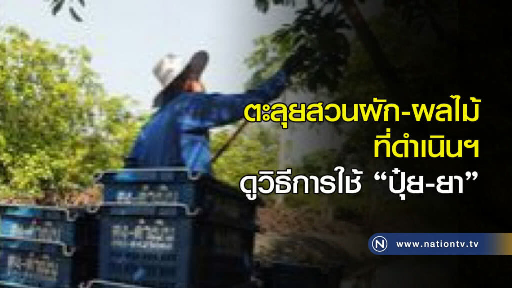 ตะลุยสวนผัก-ผลไม้ที่ดำเนินฯดูวิธีการใช้ "ปุ๋ย-ยา"