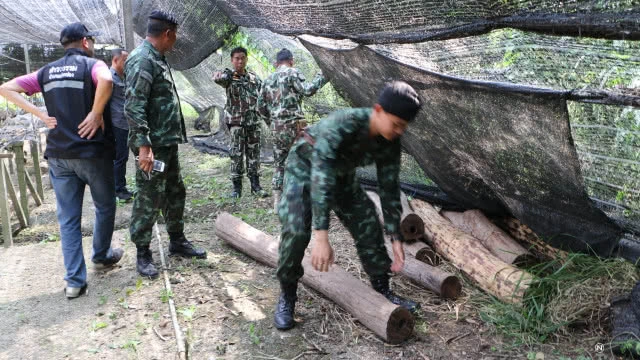พญาเสือสนธิกำลัง บุกจับไม้พยุงซุกซ่อนในบ้านอดีตนายพลตำรวจ