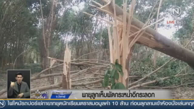 พายุลูกเห็บถล่มบึงกาฬ บ้าน สวนยางเสียหายยับ