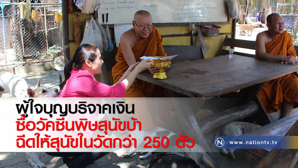ผู้ใจบุญบริจาคเงินซื้อวัคซีนพิษสุนัขบ้าฉีดให้สุนัขในวัดกว่า 250 ตัว ผู้ใจบุญบริจาคเงินซื้อวัคซีนพิษสุนัขบ้าฉีดให้สุนัขในวัดกว่า 250 ตัว