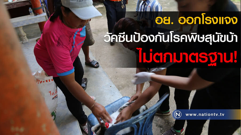 อย. ออกโรงแจง วัคซีนป้องกันโรคพิษสุนัขบ้า ไม่ตกมาตรฐาน! อย. ออกโรงแจง วัคซีนป้องกันโรคพิษสุนัขบ้า ไม่ตกมาตรฐาน!