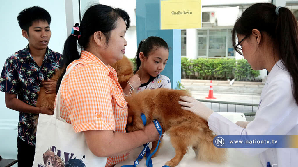 คณะสัตวแพทย์จุฬาฯ เปิดให้บริการฉีดวัคซีนป้องกันโรคพิษสุนัขบ้าในสัตว์เลี้ยงฟรี! คณะสัตวแพทย์จุฬาฯ เปิดให้บริการฉีดวัคซีนป้องกันโรคพิษสุนัขบ้าในสัตว์เลี้ยงฟรี!