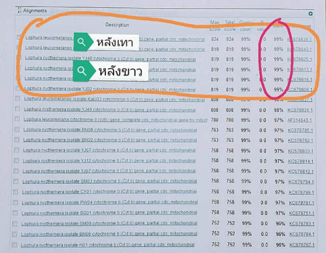 ดร.กณิตา ยัน! แล็บนิติวิทยาศาสตร์สัตว์ป่า ทำงานตามมาตรฐาน ระบุพร้อมเป็นพยานในคดี
