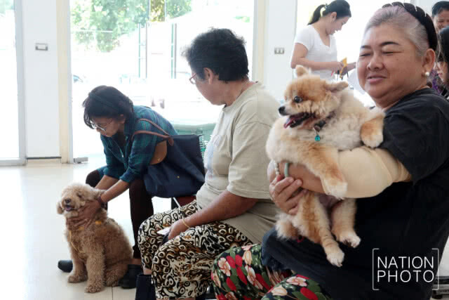 คณะสัตวแพทย์จุฬาฯ เปิดให้บริการฉีดวัคซีนป้องกันโรคพิษสุนัขบ้าในสัตว์เลี้ยงฟรี!