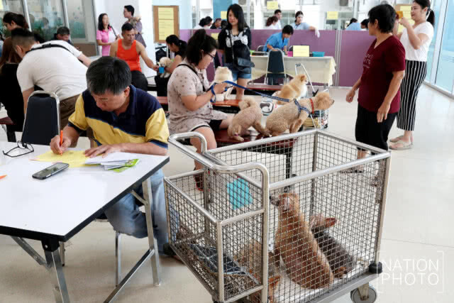 คณะสัตวแพทย์จุฬาฯ เปิดให้บริการฉีดวัคซีนป้องกันโรคพิษสุนัขบ้าในสัตว์เลี้ยงฟรี!