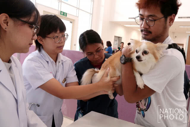คณะสัตวแพทย์จุฬาฯ เปิดให้บริการฉีดวัคซีนป้องกันโรคพิษสุนัขบ้าในสัตว์เลี้ยงฟรี!