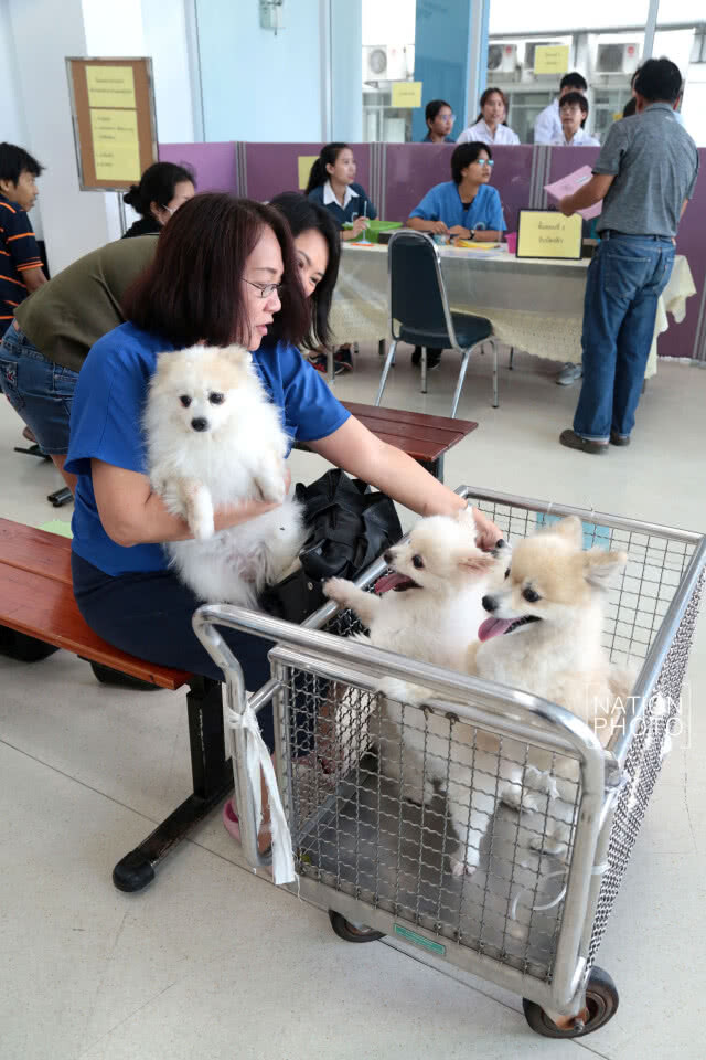 คณะสัตวแพทย์จุฬาฯ เปิดให้บริการฉีดวัคซีนป้องกันโรคพิษสุนัขบ้าในสัตว์เลี้ยงฟรี!