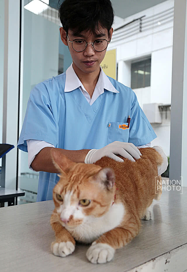 คณะสัตวแพทย์จุฬาฯ เปิดให้บริการฉีดวัคซีนป้องกันโรคพิษสุนัขบ้าในสัตว์เลี้ยงฟรี!