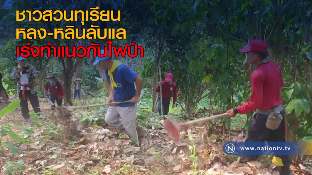 ชาวสวนทุเรียนหลง-หลินลับแล เร่งทำแนวกันไฟป่า ชาวสวนทุเรียนหลง-หลินลับแล เร่งทำแนวกันไฟป่า