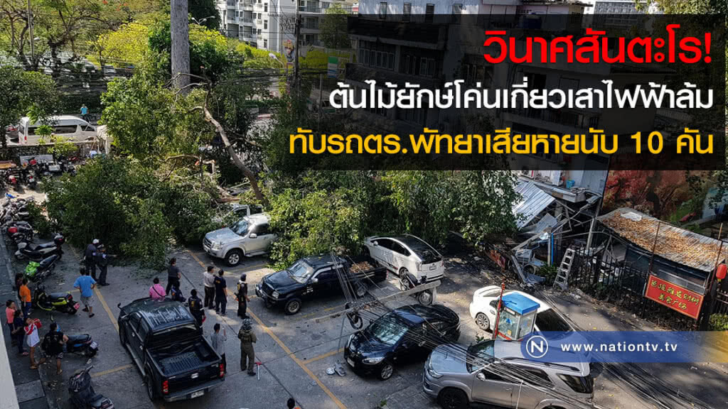 วินาศสันตะโร! ต้นไม้ยักษ์โค่นเกี่ยวเสาไฟฟ้าล้มทับรถตร.พัทยาเสียหายนับ 10 คัน