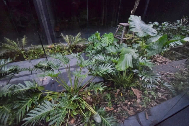 อร่อยปักหมุด : "Wang Hingnoi" เปิดประสบการณ์ทานอาหารแบบ Fine Dinning ใต้แสงหิ่งห้อยนับร้อยตัว