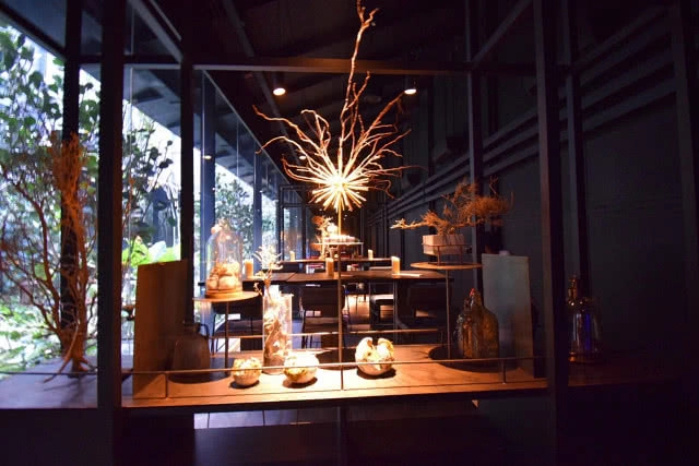 อร่อยปักหมุด : "Wang Hingnoi" เปิดประสบการณ์ทานอาหารแบบ Fine Dinning ใต้แสงหิ่งห้อยนับร้อยตัว