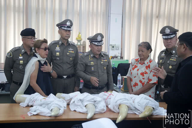 "เมียเปรมชัย" ปฏิเสธ อ้างไม่รู้เป็นงาช้างแอฟริกา