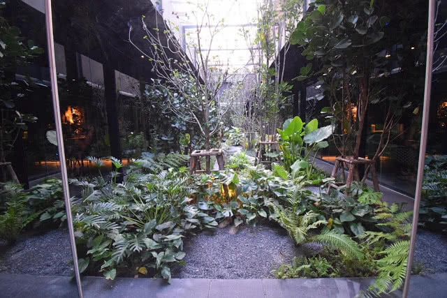 อร่อยปักหมุด : "Wang Hingnoi" เปิดประสบการณ์ทานอาหารแบบ Fine Dinning ใต้แสงหิ่งห้อยนับร้อยตัว