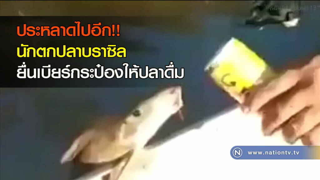 ประหลาดไปอีก!! นักตกปลาบราซิล ยื่นเบียร์กระป๋องให้ปลาดื่ม ประหลาดไปอีก!! นักตกปลาบราซิล ยื่นเบียร์กระป๋องให้ปลาดื่ม
