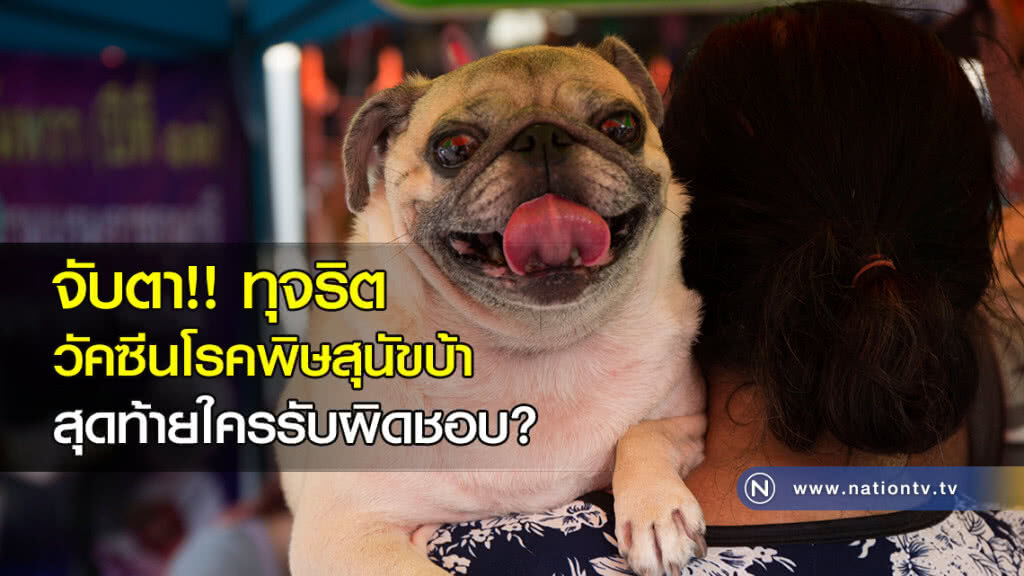 จับตา!! ทุจริตวัคซีนโรคพิษสุนัขบ้า สุดท้ายใครรับผิดชอบ?