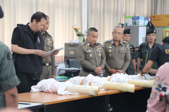 ไม่พบแจ้งเสียภาษี/ขออนุญาตนำเข้า งาช้าง - ปืนคาบศิลา "เปรมชัย"