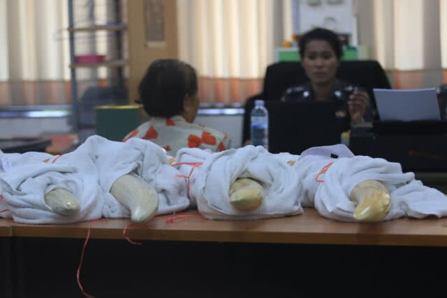 สั่งตร.สอบเพิ่ม "เปรมชัย" ล่าเสือ