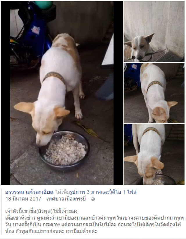 หาของแลกข้าว