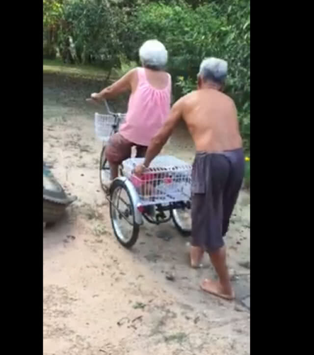 จักรยานคันแรกของคุณย่า