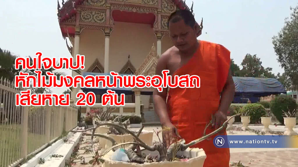 คนใจบาป! หักไม้มงคลหน้าพระอุโบสถเสียหาย 20 ต้น