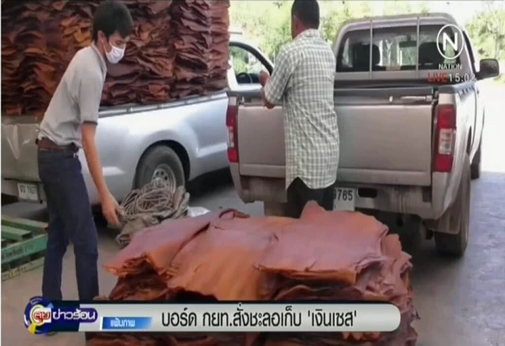 บอร์ด กยท.สั่งชะลอเก็บ "เงินเซส" บอร์ด กยท.สั่งชะลอเก็บ "เงินเซส"