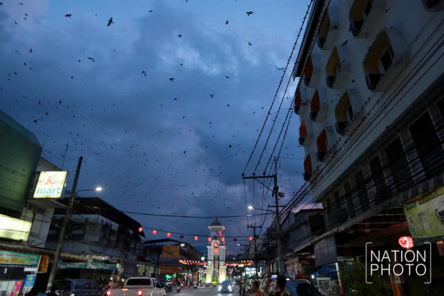 เบตงราตรี แสงสีกลางหุบเขาและสายหมอก